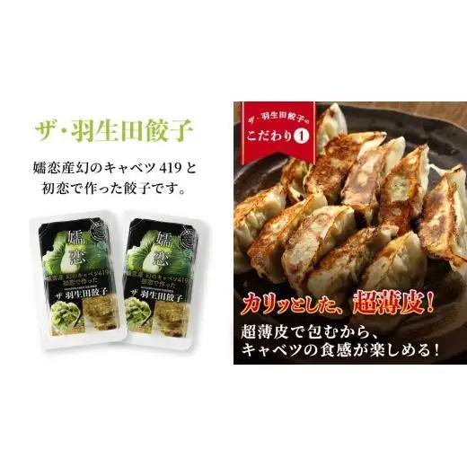 まぼろしのキャベツ419使用 ザ・羽生田餃子 15個 × 2パック 合計30個 大容量 [AL001tu]