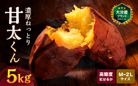 さつまいも 甘太くん 約 5kg | 芋 焼き芋 大分県 中津市