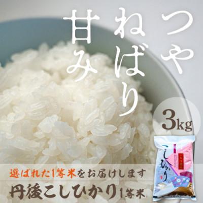 ふるさと納税 京丹後市 令和8年産　丹後こしひかり1等米3kg