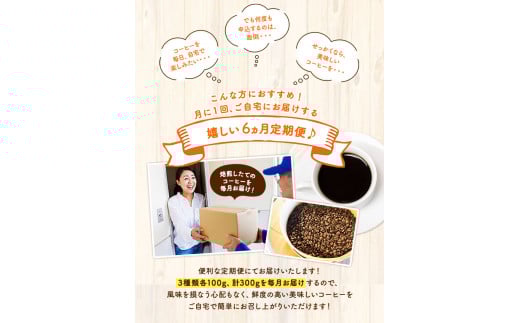 【6ヶ月定期便】コーヒー豆3種のセット 各100g(豆) 計300g 《お申込み月の翌月から出荷開始》 旬 オリジナルブレンド ---sc_utawbtei_21_50500_mo6num1---