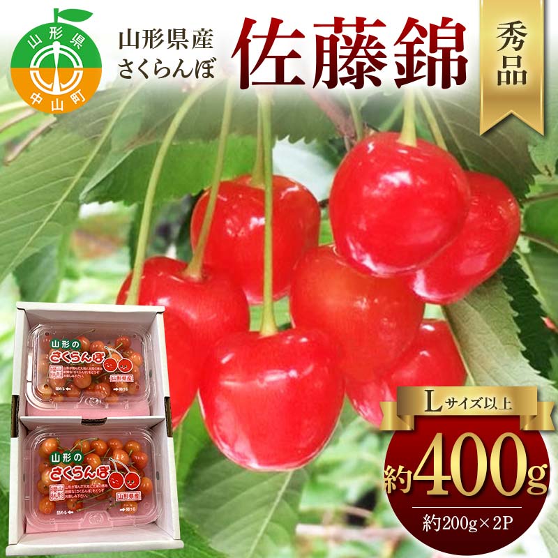 【ふるさと納税】令和8年産【先行受付】山形県産さくらんぼ＜佐藤錦＞秀品 約400g(200g×2P) Lサイズ以上 期間限定 数量限定 山形県産 サクランボ フルーツ 果物 くだもの 贈答 F4A-0963