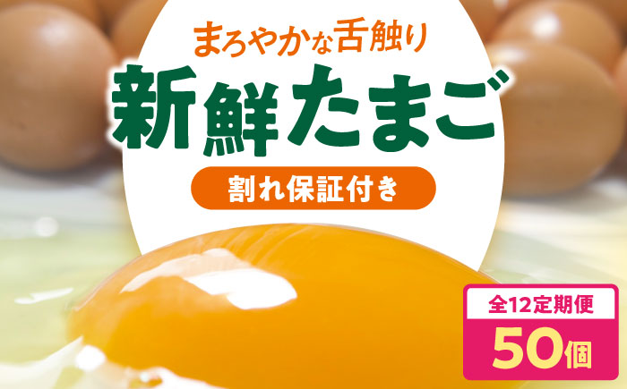 【全12回定期便】平飼い 海草たまご 5パック（50個入り）割れ保証あり 愛媛県大洲市/和田養鶏場 卵 たまご 鶏卵 卵料理 玉子 [AGDQ010]