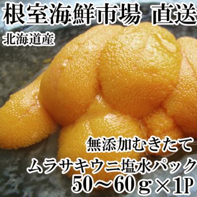 ふるさと納税 根室市 無添加むきたてムラサキウニ塩水パック50〜60g×1P[5月初旬以降発送] G-28001