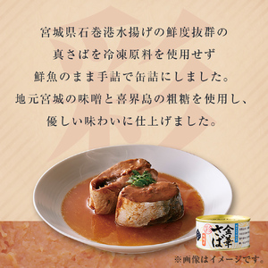 お試し！ 青魚 食べ比べ セット サバ缶 サンマ缶 イワシ缶 青魚 食べ比べ 缶詰 詰め合わせ お試し 常温 木の屋 魚 水煮 味噌煮 醤油 味付 いわし 鰯 さば サバ 鯖 秋刀魚 さんま サンマ 