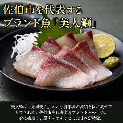 ふるさと納税 佐伯市 <先行予約受付中!2025年11月より発送開始予定>大分県産 美人鰤 刺身セット |  | 02