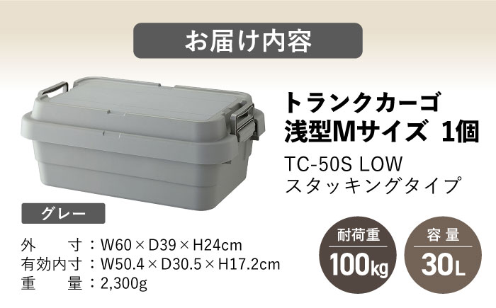 トランクカーゴ グレー ロータイプM 1個 キャンプ ボックス 収納 アウトドア / 恵那市 / 東谷株式会社　明智流通センター [AUAD035]