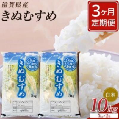 ふるさと納税 甲賀市 【毎月定期便】近江米きぬむすめ白米10kg(5kg×2袋)全3回