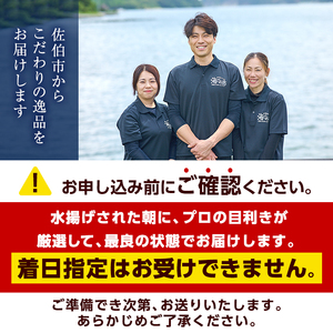 ヒオウギ貝(10枚)とサザエ(約1kg) 魚介 貝 ヒオウギ貝 ひおうぎ貝 サザエ さざえ 栄螺 酒蒸し 網焼き バター焼き バーベキュー 獲れたて 冷蔵 海の直売所 大分県 佐伯市【AS120】【海