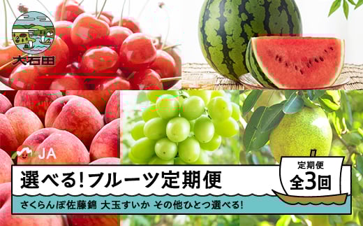 
            【先行予約】選べるフルーツ定期便 全3回 さくらんぼ 佐藤錦 大玉すいか もも 桃 シャインマスカット ラ・フランス 洋梨 ja-ft3cx
          