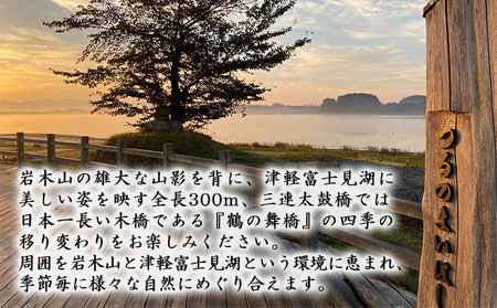 つがる富士見荘　温泉券（12回券） チケット 温泉利用券 夏休み 宿泊 