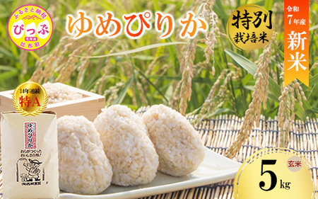 【先行予約】【西間農園】特別栽培米 みがき玄米 ゆめぴりか 5kg【1月から2月上旬発送】JGAP認証農場 米 お米 北海道米 特Aランク 国産 コメ 北海道 比布町 1005-051