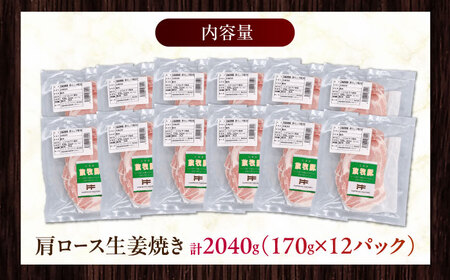 放牧豚 放牧豚 肩ロース生姜焼き 計2040g（170g×12） 精肉 小分け 冷凍 北海道 [AXBA126]