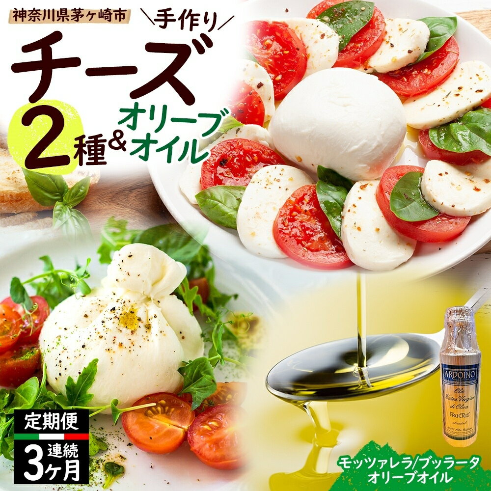 【ふるさと納税】【ふるさと納税】3ヶ月定期便 フレッシュチーズ 2種 オリーブオイル セット モッツァレラ 100g 2個 ブッラータ 160g 1個 オリーブオイル 100ml チーズ おつまみ 送料無料 神奈川県 茅ヶ崎市