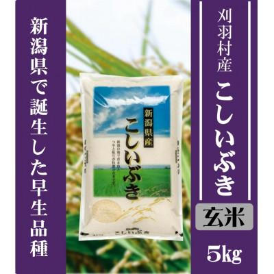 ふるさと納税 刈羽村 【新潟県早生品種】【玄米】刈羽村産こしいぶき 5kg