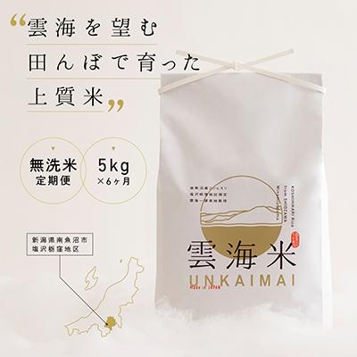ふるさと納税 南魚沼市 【毎月定期便】南魚沼産コシヒカリ「雲海米」無洗米5kg全6回