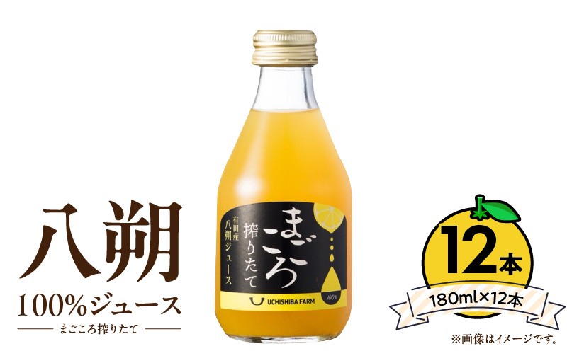 
            ZE6427_【まごころ搾りたて】八朔 100%ジュース 180ml × 12本
          