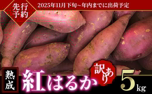 【先行予約】【訳あり】茨城県産熟成さつまいも「紅はるか」5kg【2025年11月下旬頃～年内までに出荷】【さつまいも 紅はるか 芋 サツマイモ 甘い 焼き芋 スイートポテト 茨城県産 大容量 不揃い ねっとり】