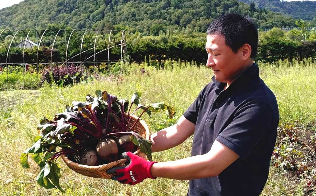 季節限定 ビーツ （レッドエース） 約2kg 野菜 やさい 健康野菜 スーパーフード 冷蔵 北海道 愛別町