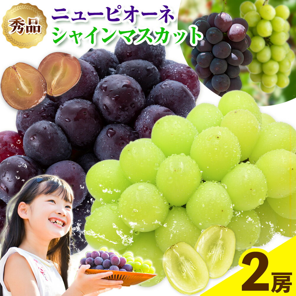 【ふるさと納税】岡山県産 秀品 シャインマスカット ニューピオーネ 詰め合わせ 約1.2kg 2房 葡萄 果物 厳選出荷 スイーツ フルーツ デザート 岡山県 笠岡市《9月中旬～11月上旬頃に出荷予定(土日祝除く)》数量限定 秋旬 種なしぶどう