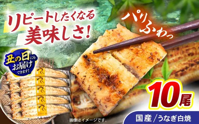 ＜諫早淡水＞うなぎ白焼き 10尾 / うなぎ ウナギ 鰻 白焼き 白焼 しらやき 国産 冷凍 小分け / 諫早市 / 諫早淡水株式会社 [AHAT010] 丑の日 土用丑の日