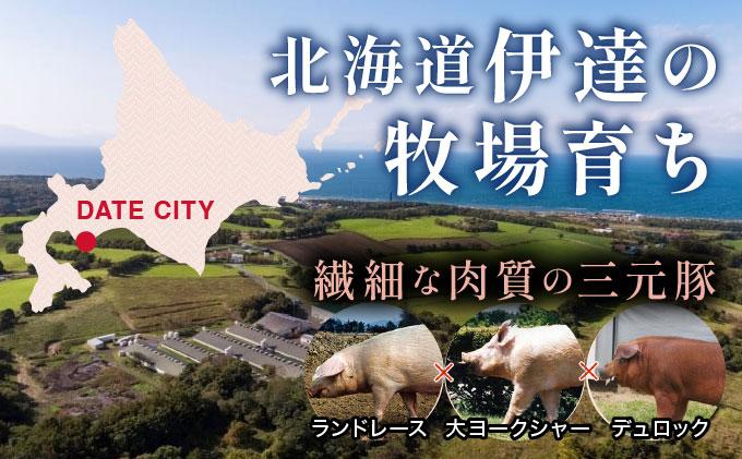 北海道 定期便 隔月3回 豚ひき肉 あら挽き 200g 10パック 伊達産 黄金豚 三元豚 ミンチ 挽肉 お肉 小分け ミートソース カレー 大矢 オオヤミート 冷凍 送料無料