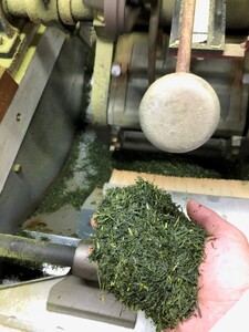【2025年新茶】【ギフト用】八十八夜摘み　八女新茶　80g×2本【2025年5月中旬発送開始】 041-006