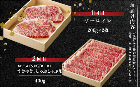 定期便 5回 飛騨牛 食べつくし厳選 牛肉 だるまミート 定期便  [S407]
