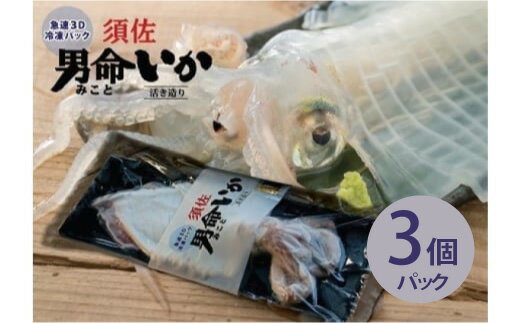 【ふるさと納税】自宅で透明感を再現！須佐男命いかの姿造り（刺身）特殊冷却「3D冷凍」パック 3個