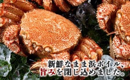 前浜茹で毛がに3尾（約380～440g） ＜株式会社 鳥潟＞ かに カニ 蟹 ガニ がに 森町 ふるさと納税 北海道 毛蟹 毛かに 毛ガニ 毛カニ 北海道 ズワイカニ ズワイ蟹 ズワイガニ mr1-0