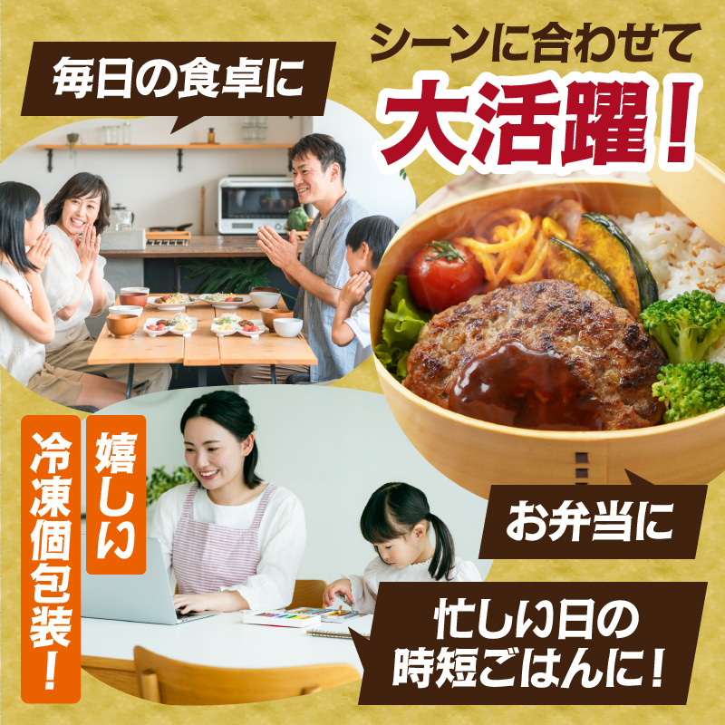 佐賀牛入り 熟成 ハンバーグ 約120g×20個 179-J1350