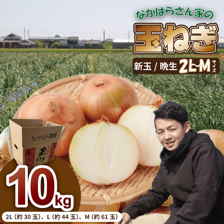 【ふるさと納税】【先行予約】【選べる種類】 タマネギ （ 新玉ねぎ・ 晩生 玉ねぎ）なかはら農園 10kg サイズ2L〜Mサイズ （ たまねぎ 玉葱 ） 野菜 根菜 オニオン 九州 佐賀 サラダ マリネ 人気 ランキング 送料無料 【A070-021】
