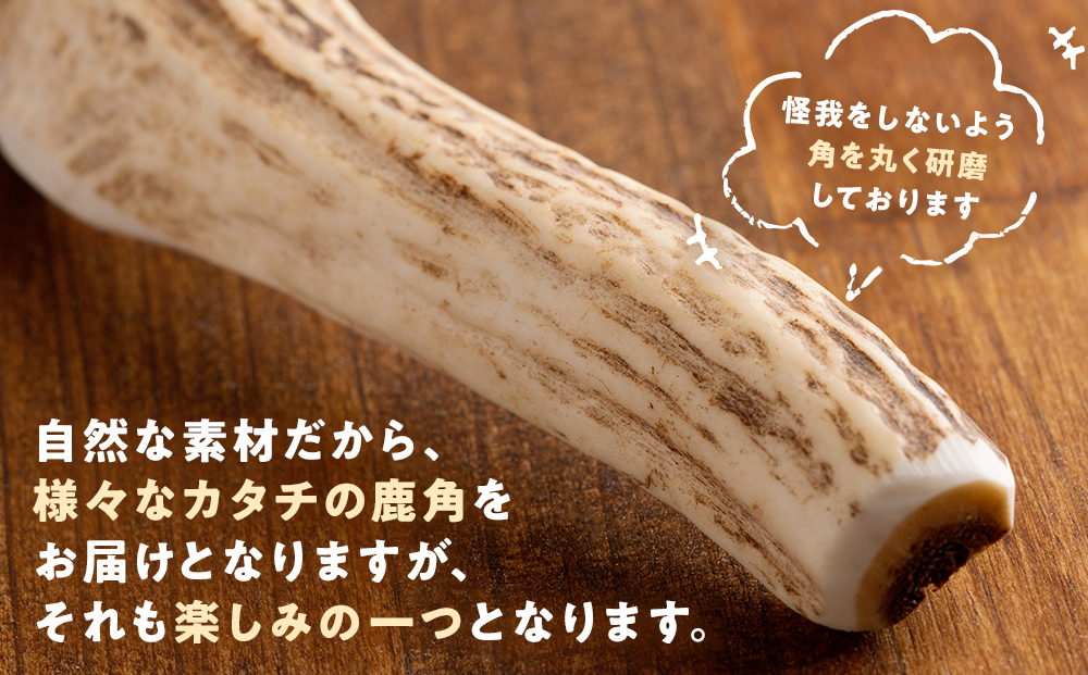 プレシカ 鹿の角 Lサイズ （15センチ半割り１本） 1袋 | 犬 ペット用 愛犬用 おもちゃ 玩具 鹿角 エゾシカ 歯みがき ガム デンタルケア ストレス発散 天然 無添加 北海道 津別町 送料無料