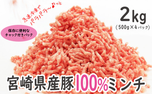 
便利なチャック付きパック入り！宮崎産豚ミンチ 2kg【B459】
