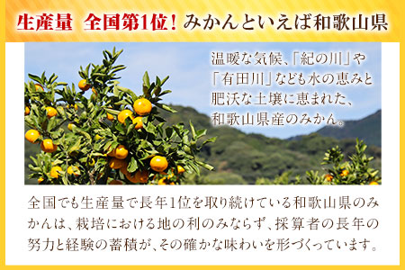 訳あり/ご家庭用 【先行予約】 和歌山産みかん 約5kg【サイズ混合】サンファーム《2024年10月上旬-2025年1月下旬頃出荷》｜みかんみかんみかんみかんみかんみかんみかんみかんみかんみかんみかん