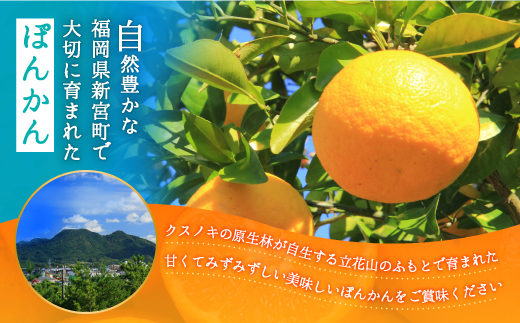 AA076.ぽんかん（5kg程度）／2024年12月～2025年1月配送予定