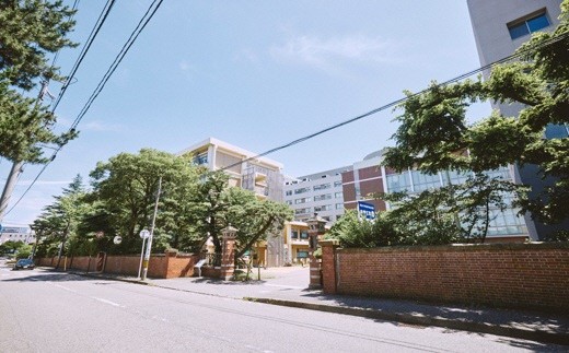 登録有形文化財：新潟大学医学部（旧新潟医学専門学校）表門及び煉瓦塀
