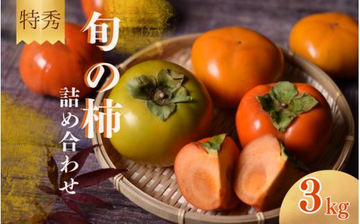 【☆令和7年産☆先行予約】【特秀】紀美野町産 旬の柿詰め合わせ 約3kg 【2025年10月上旬～11月下旬に順次発送致します。】/ 和歌山県 紀美野町 カキ 柿 太秋柿 紀ノ川柿 富有柿 早秋柿 