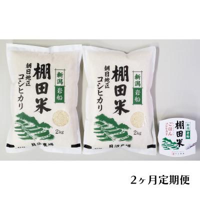 ふるさと納税 村上市 【毎月定期便】棚田米コシヒカリ(精米) 4kg+パックごはん 1個 [141]全2回