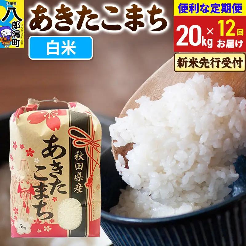 《令和8年産 新米受付》《定期便12ヶ月》あきたこまち 20kg【白米】 秋田県産 こまちライン
