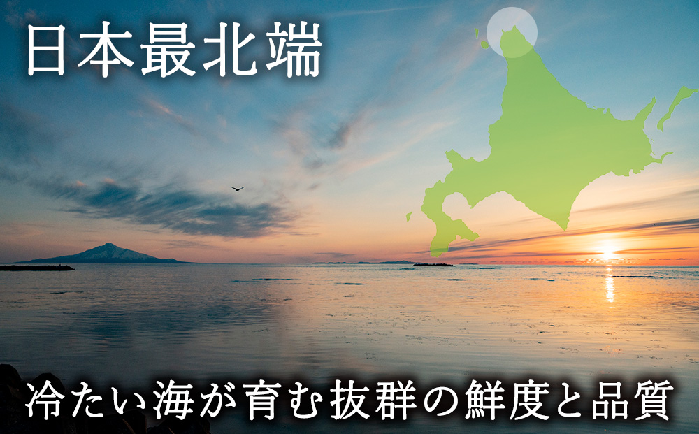 利尻昆布を食べておいしく育った「生むらさきうに」120ｇ