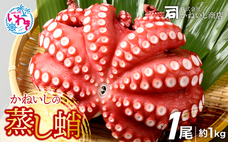 【かねいし商店】タコ 蒸したこ 1尾 約1kg