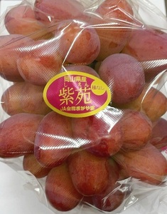 紫苑 1房(700ｇ以上) 化粧箱入り【2026年10月下旬～11月下旬発送予定】
