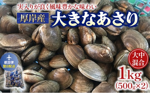 
                  翌日配送 航空便 北海道 厚岸産 あさり 500g×2パック (合計1kg) 大中混合 アサリ 魚貝 海 美味しい 栄養 旨み 砂出し 水洗い 冷蔵 冷凍保存可能 便利[№5863-1525]
                