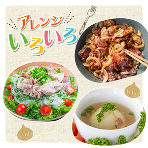 玉ねぎ 10㎏ ( 京都玉ねぎ 京丹波玉ねぎ 玉ねぎ10kg 20000円玉ねぎ )