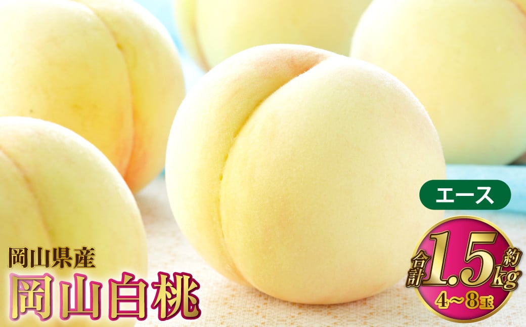 
            岡山白桃 エース 4～8玉 約1.5kg 岡山県産【2025年7月上旬～8月下旬発送予定】 白桃 桃 もも モモ
          