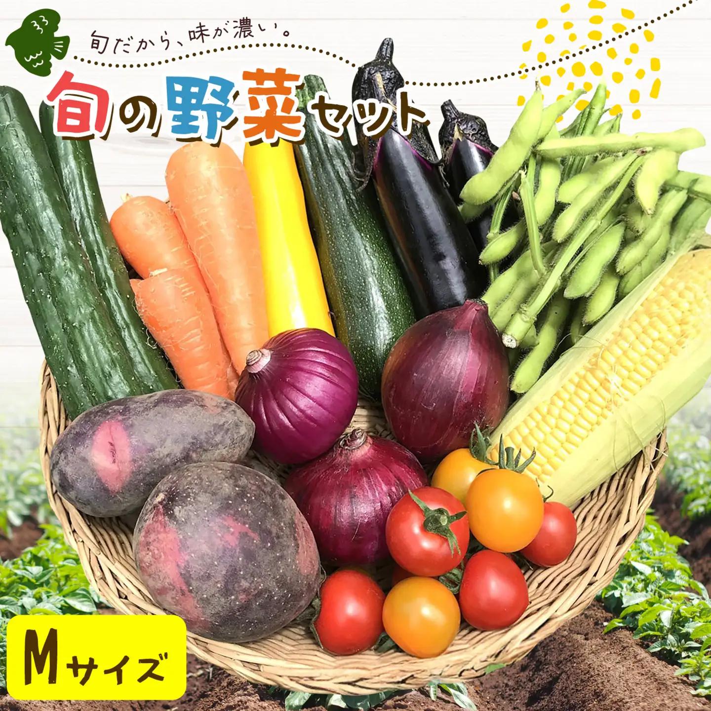 野菜 旬の野菜セット Mサイズ 約8～9種 《30日以内に出荷予定(土日祝除く)》 ベジLIFE!! 【配送不可地域あり】（沖縄・離島） 季節の野菜  料理 甘い 採れたて トマト 新玉ねぎ じゃがいも キャベツ 白菜 ベジライフ 千葉県 我孫子市