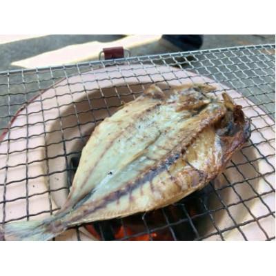 ふるさと納税 南伊豆町 【毎月定期便】湯の花 干物6種セット全2回 |  | 01