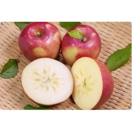 【26年11月から順次発送!】青森県産 りんご 葉とらずサンふじ 訳あり家庭用 約3kg【配送不可地域：沖縄県】【1735515】
