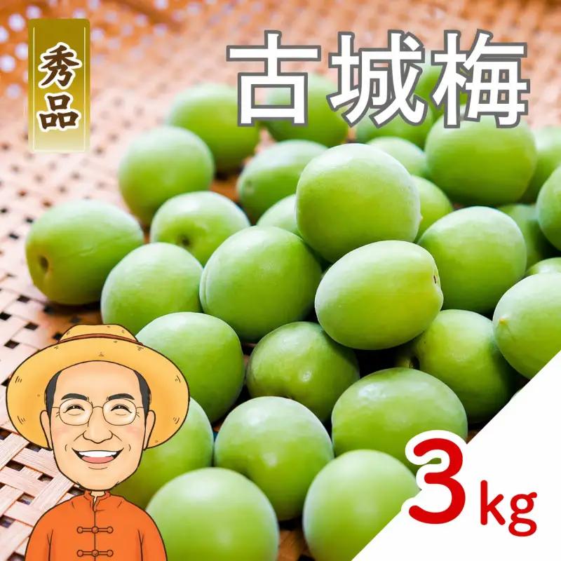 古城梅 約3kg (＋補償100g)【秀品】 L～Mサイズ カキエモン農園 【BX-kkem021】