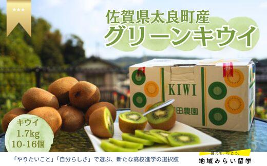 
            【佐賀県太良産】浦田農園『グリーンキウイ』1.7kg(10〜16個)
          
